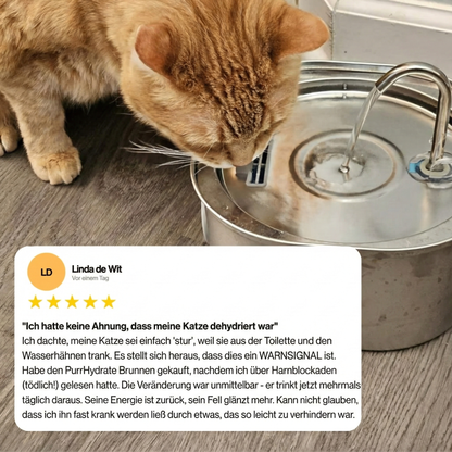 Nierenerkrankungen & Austrocknung vorbeugen mit PurrHydrate™