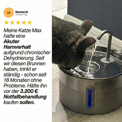 Nierenerkrankungen & Austrocknung vorbeugen mit PurrHydrate™